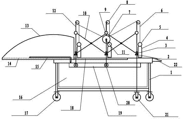 Multifunctional bathing cart