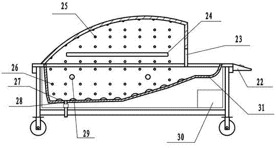 Multifunctional bathing cart