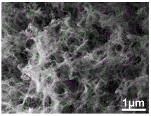 Chitin/carbon nanotube composite adsorbent for blood perfusion and preparation method thereof