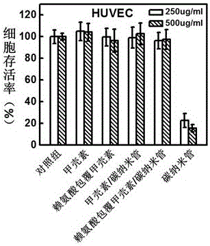 Chitin/carbon nanotube composite adsorbent for blood perfusion and preparation method thereof