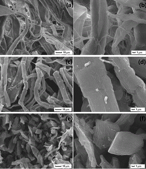 Preparation method for porous carbon material with high specific surface area
