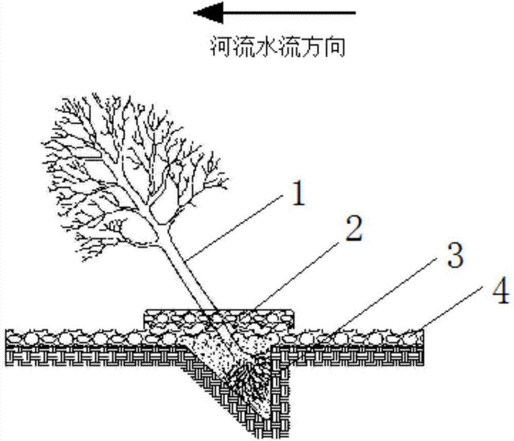 Method for planting plant at terrestrial-aquatic transverse zone of river bank