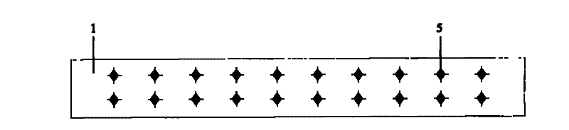 Bridge reinforcing method and uses of prestress reinforced steel wire net anchor in bridge reinforcement