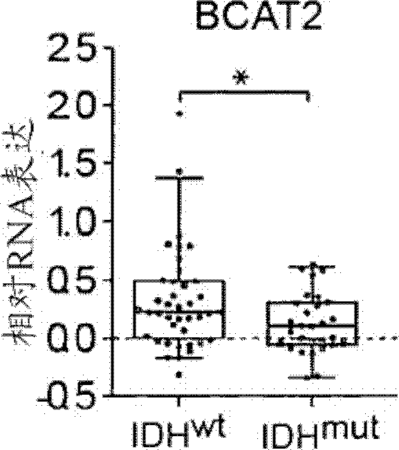 Inhibitors of branched-chain-aminotransferase-1 (BCAT1) for the treatment of brain tumors