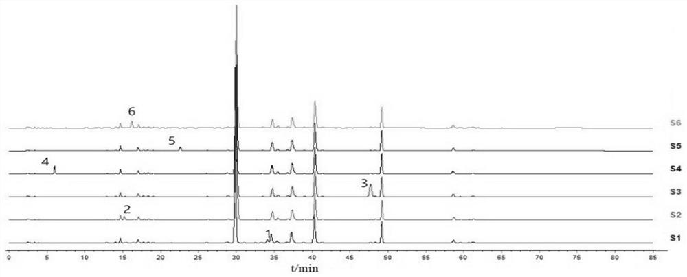 A kind of oral flora polymorphism regulator