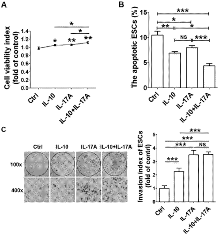 Application of interleukin antibodies to preparation of pharmaceutical composition for treating endometriosis