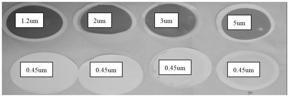 Composite micro-pore-diameter filter membrane, preparation method thereof and application of composite micro-pore-diameter filter membrane in field of water treatment