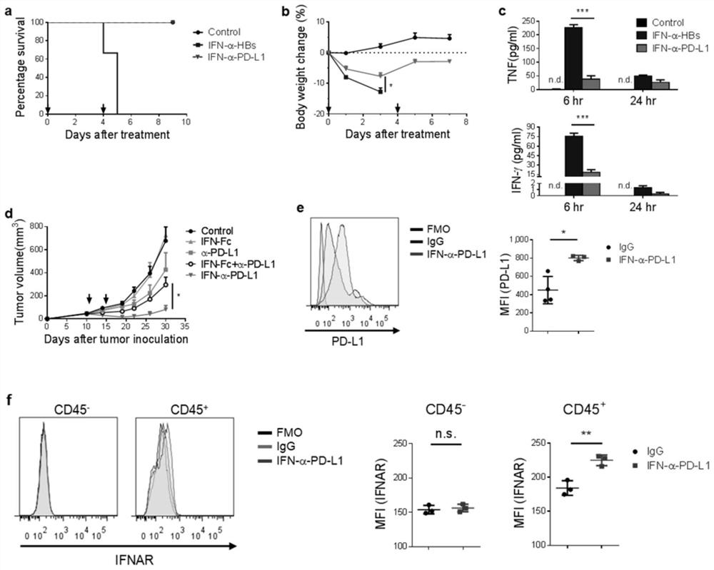 A fusion protein of IFN and anti-PD-L1 antibody and its application