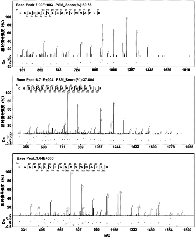 Mycobacterium tuberculosis H37Rv coding gene and application thereof