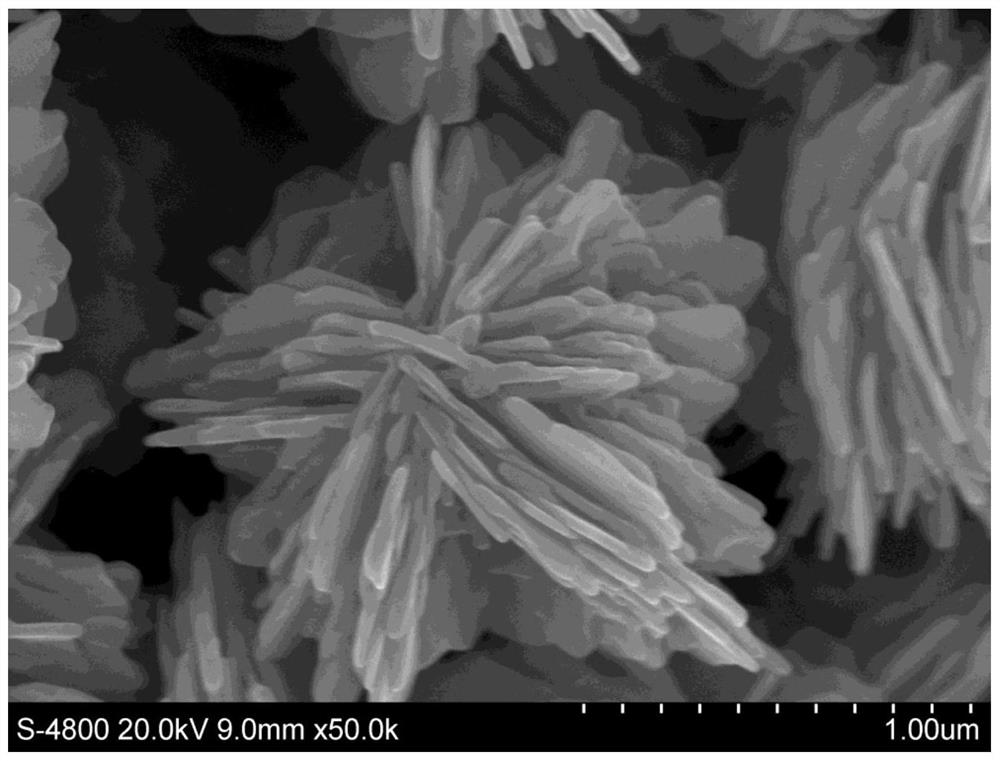 Flower-like silver preparation method adopting gallic acid as structure-directing agent