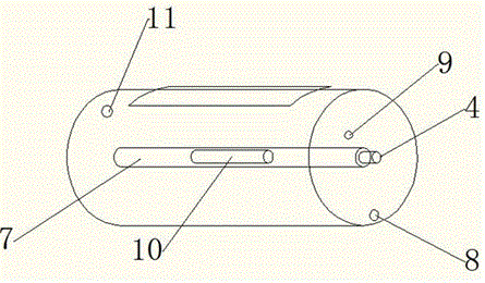 Dry salt pickling device