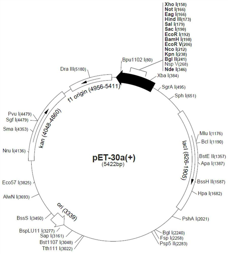 Application of glutathione reductase legr from Lentinus edodes in improving microbial resistance to temperature stress