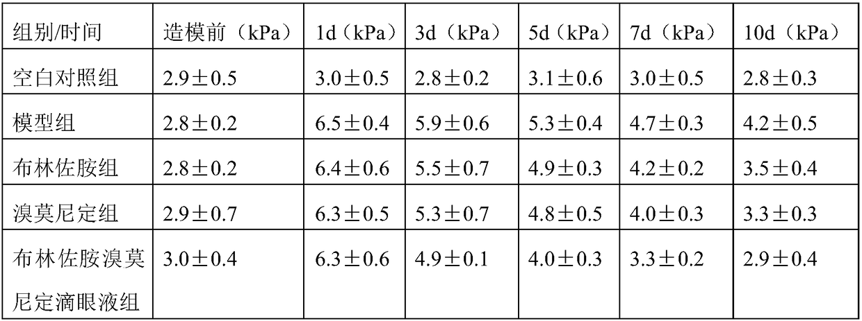 Brinzolamide brimonidine eye drop and preparation method thereof