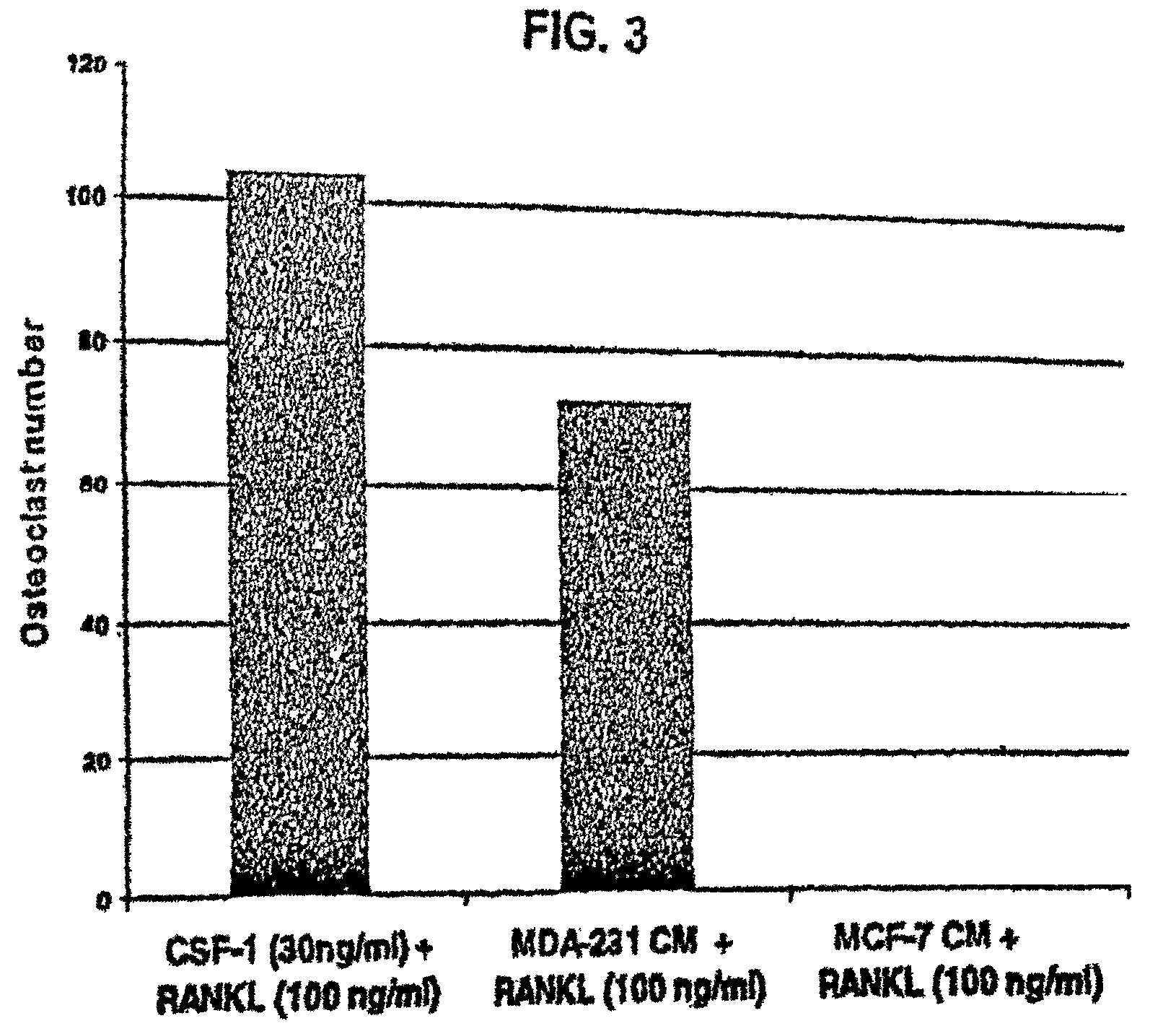 M-CSF-specific monoclonal antibody and uses thereof