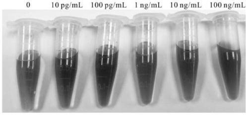 A kind of detection method and detection kit of ochratoxin A