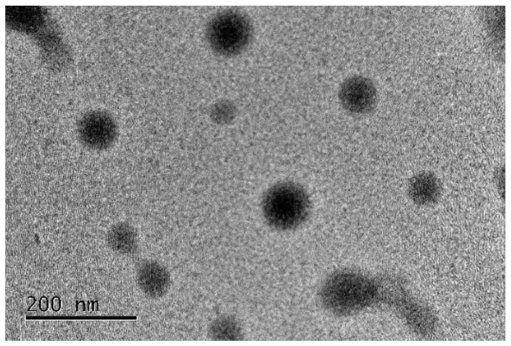 Calcium carbonate poly(lactic acid-glycolic acid) composite particle and preparation and application thereof