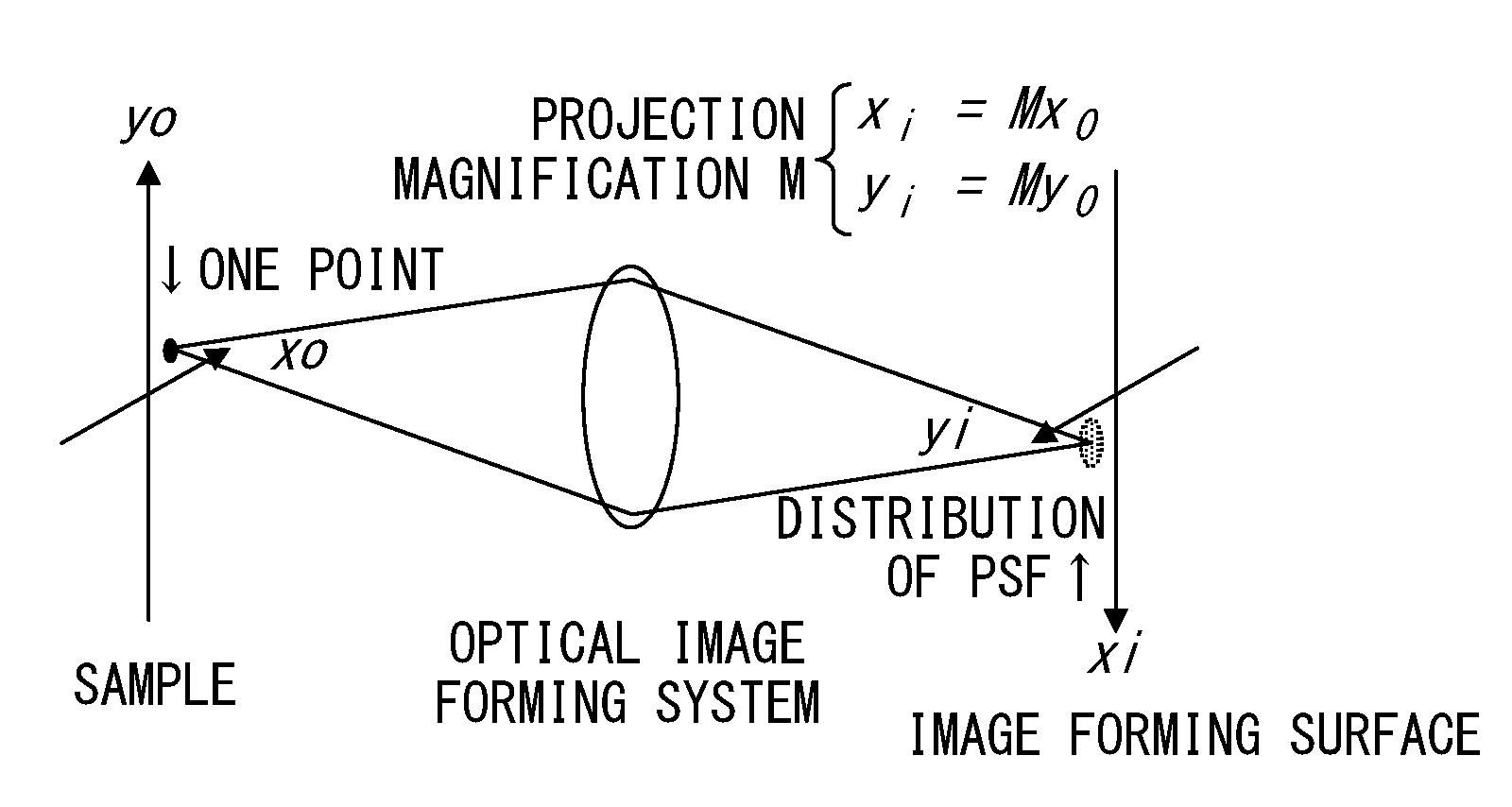 Sample observation device for generating super resolution image