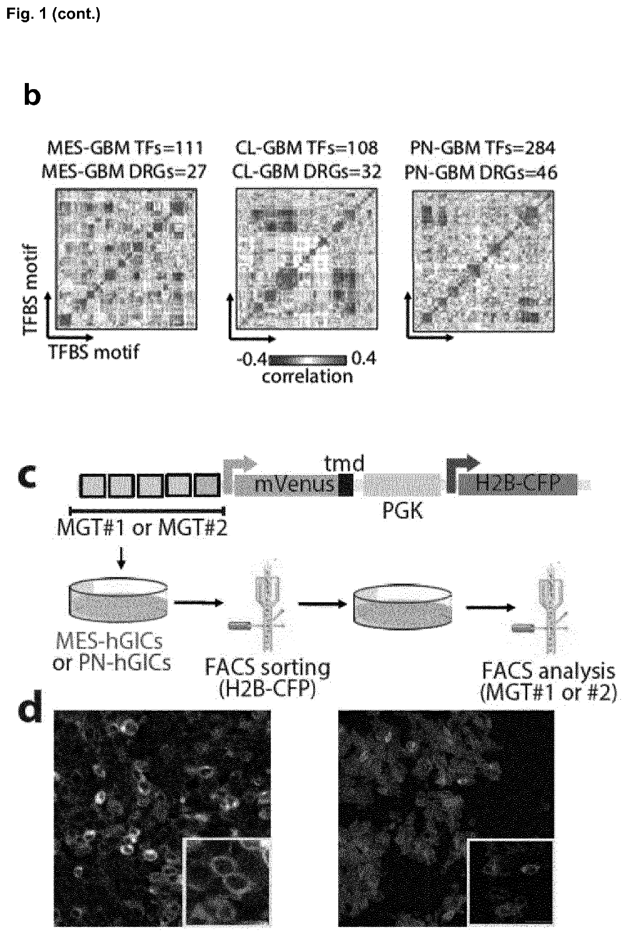 Method for Engineering Synthetic Cis-Regulatory DNA