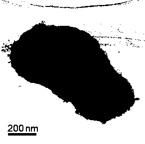 A kind of manufacturing method of lithium-sulfur battery positive electrode and lithium-sulfur battery