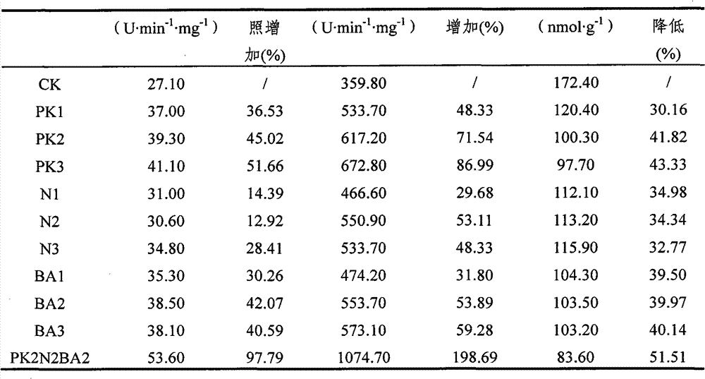 Low temperature resistant lodging-resistant yield-increasing regulator of wheat and preparation method thereof