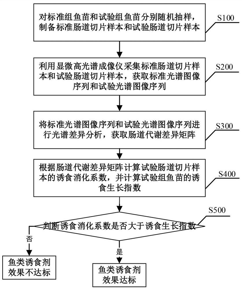 Fish phagostimulant effect evaluation method and system based on microscopic hyperspectrum