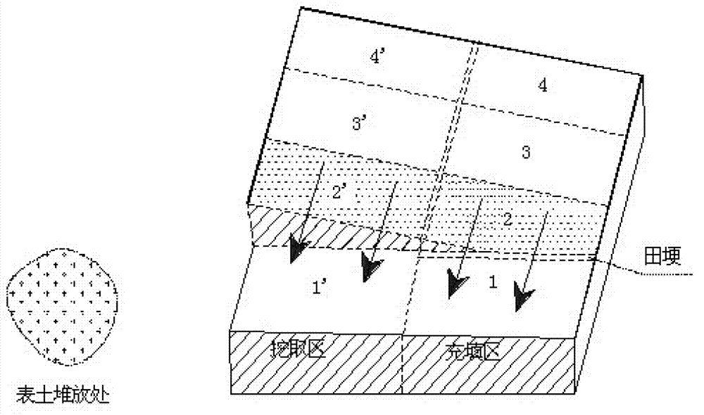 Method of soil reclamation project topsoil stripping