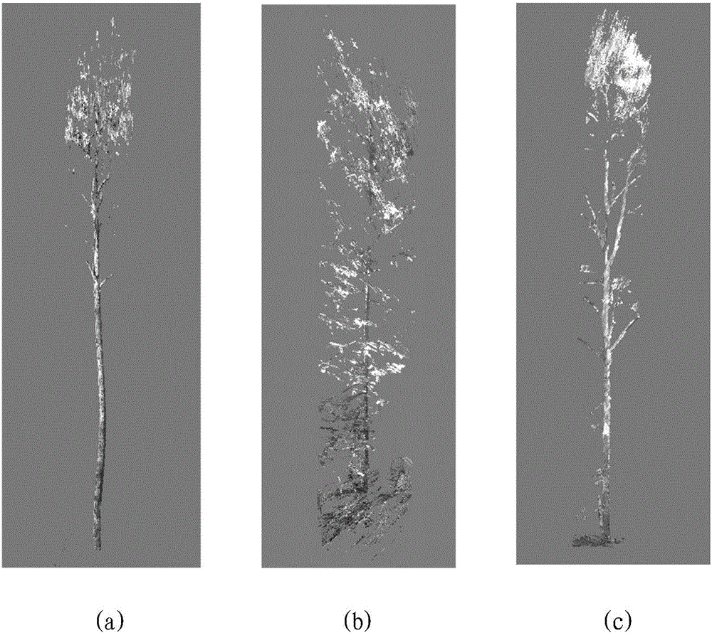 Laser scanning three-dimensional point cloud tree automatic classifying method based on deep learning