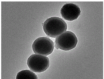 Preparation method for N-doped hollow carbon nanosphere loaded ultra-small gold nanoparticle material