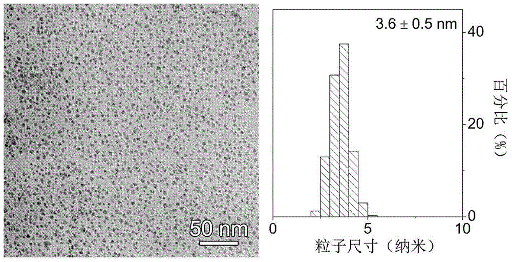 Magnetic nanoparticle magnetic resonance contrast agent and method for enhancing magnetic nanoparticle relaxivity