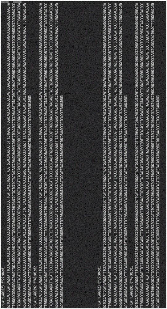 Kit and method for typing HLA gene