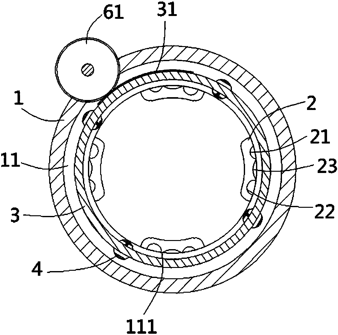 Mechanism used for clamping bearing ring