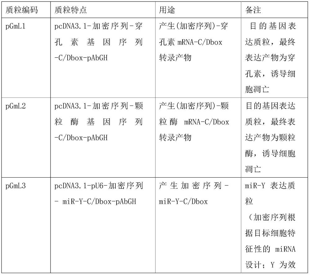 Preparation method and application of engineered exosome for drug targeted delivery