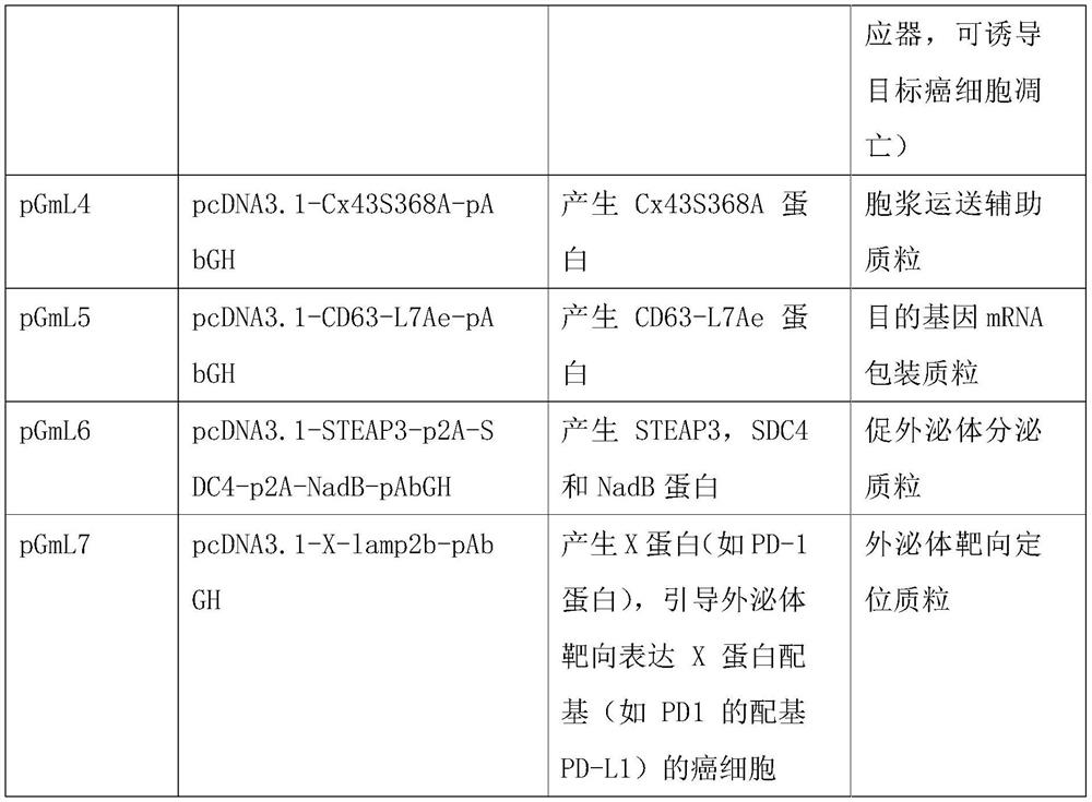 Preparation method and application of engineered exosome for drug targeted delivery