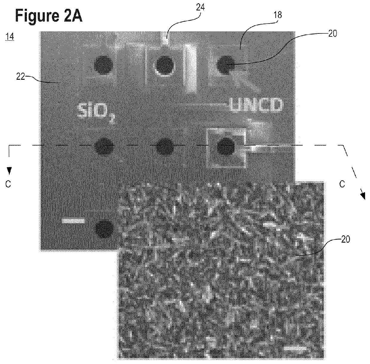 Electroanalytical sensor based on nanocrystalline diamond electrodes and microelectrode arrays