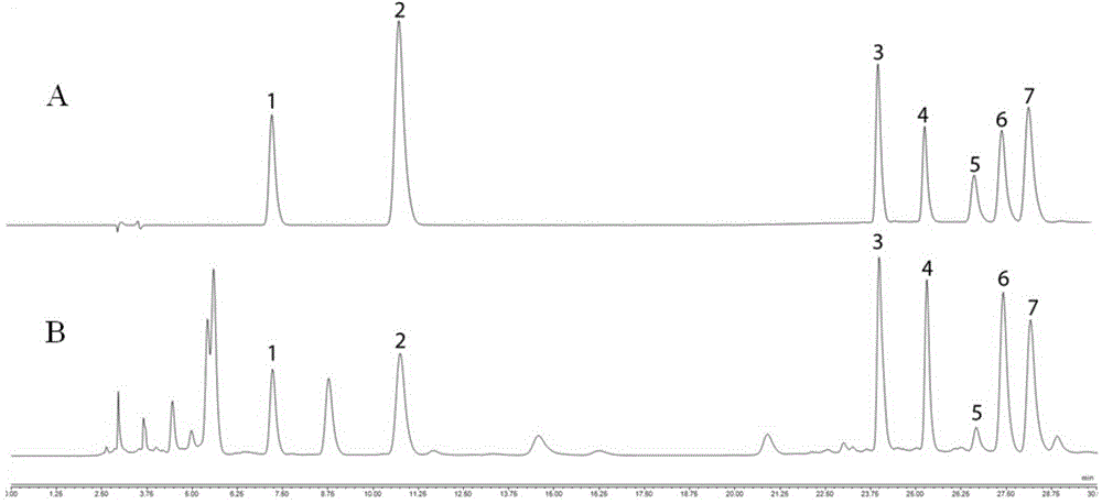 Method for simultaneous detection of iridoid glycoside, phenylethanoid glycoside, flavone and dicaffeoyl ingredients in lamiophlomis rotata