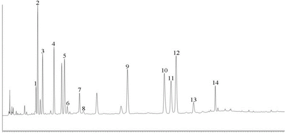 Method for simultaneous detection of iridoid glycoside, phenylethanoid glycoside, flavone and dicaffeoyl ingredients in lamiophlomis rotata