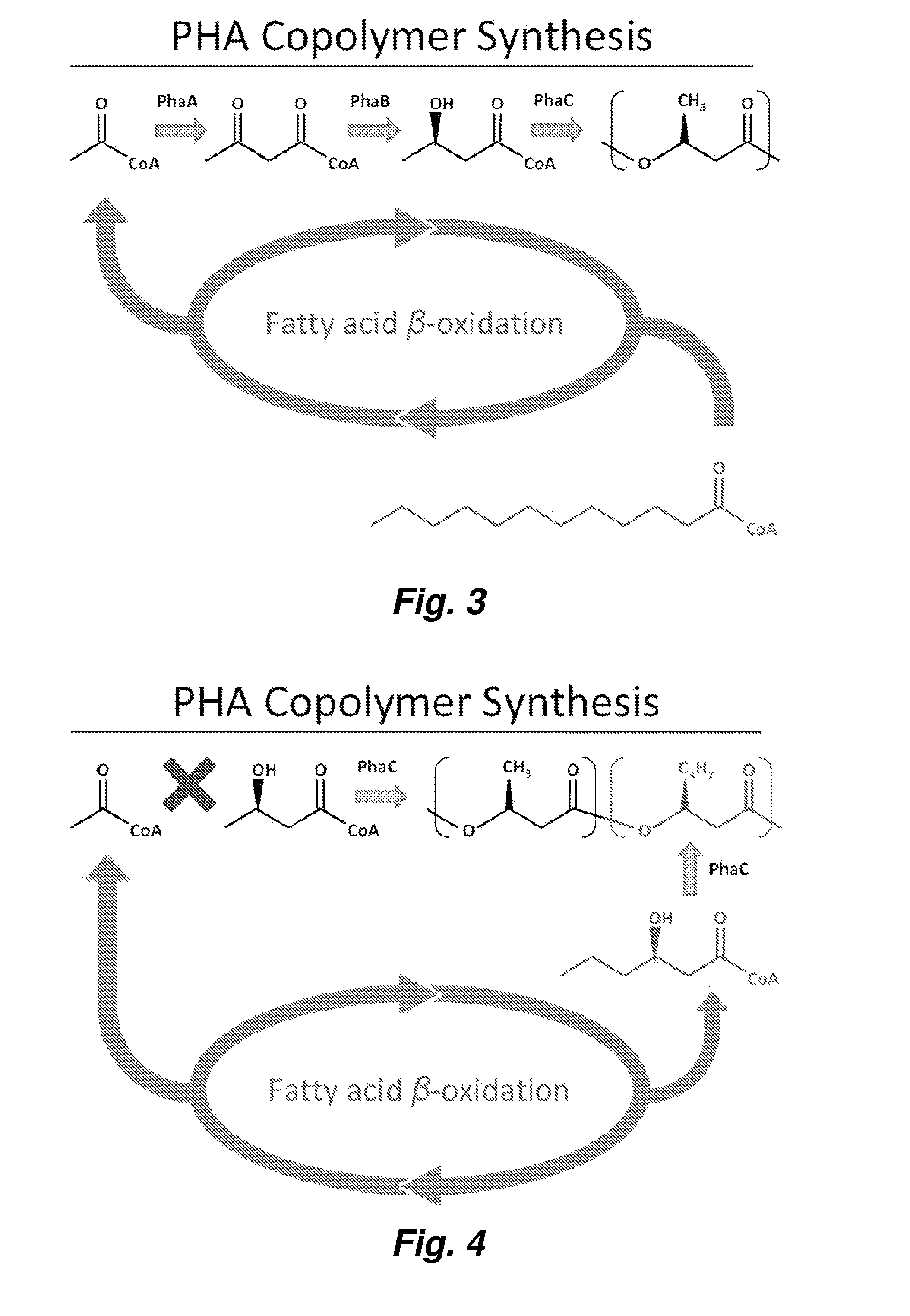 Methods for producing polyhydroxyalkanoate copolymer with high medium chain length monomer content