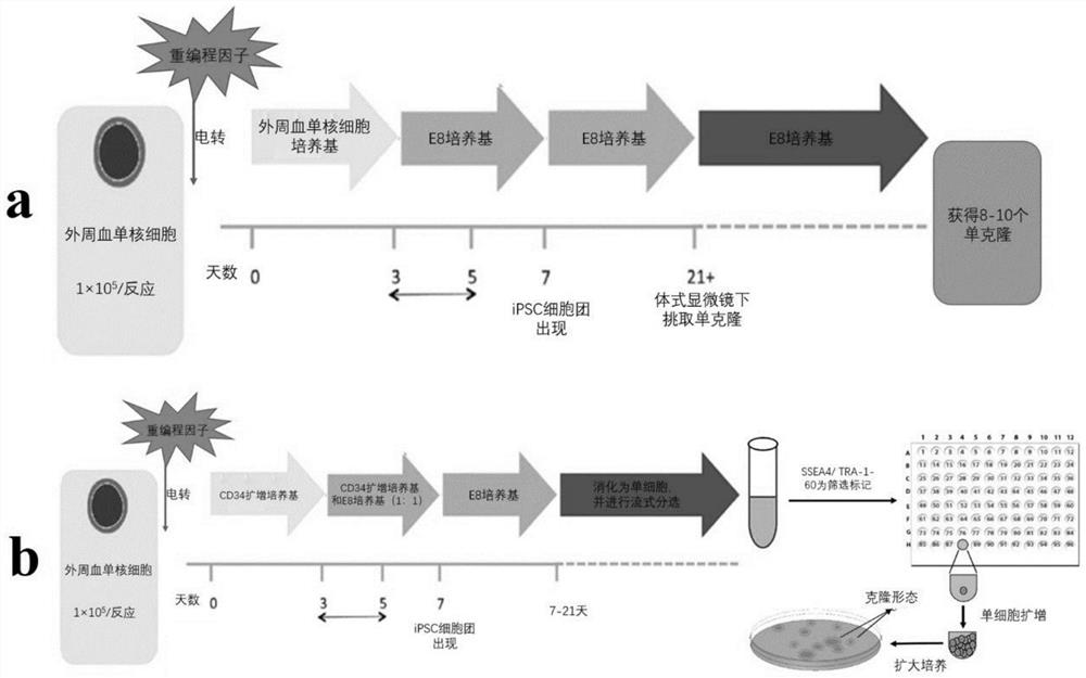 Efficient genetic-modification-free iPSC induced and industrialized monoclonal picking platform and application