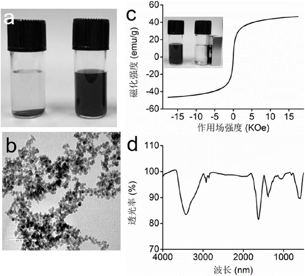 Magnetic nanometer material used for imaging and photothermal therapy and preparation method and application of magnetic nanometer material