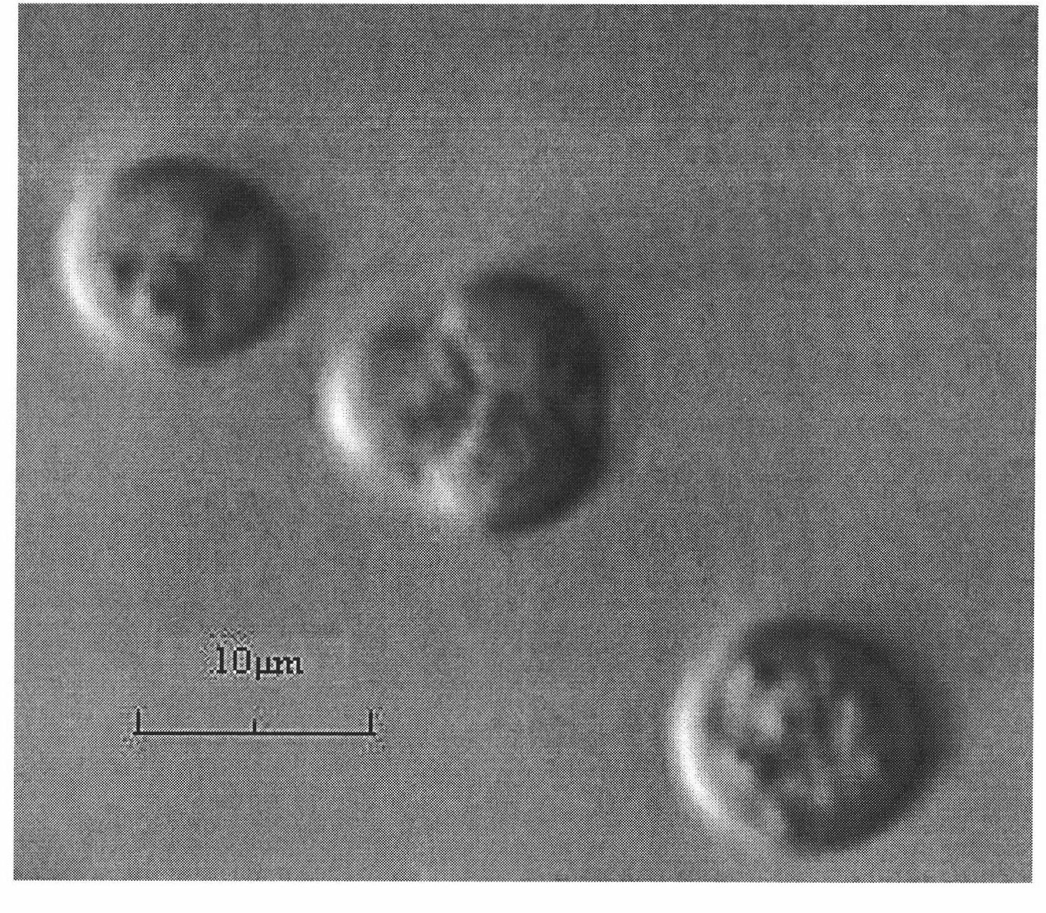 Saccharomyces cerevisiae and application thereof in wine brewing