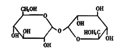 Rhodotorulasp.2-14 and method for producing trehalose using same