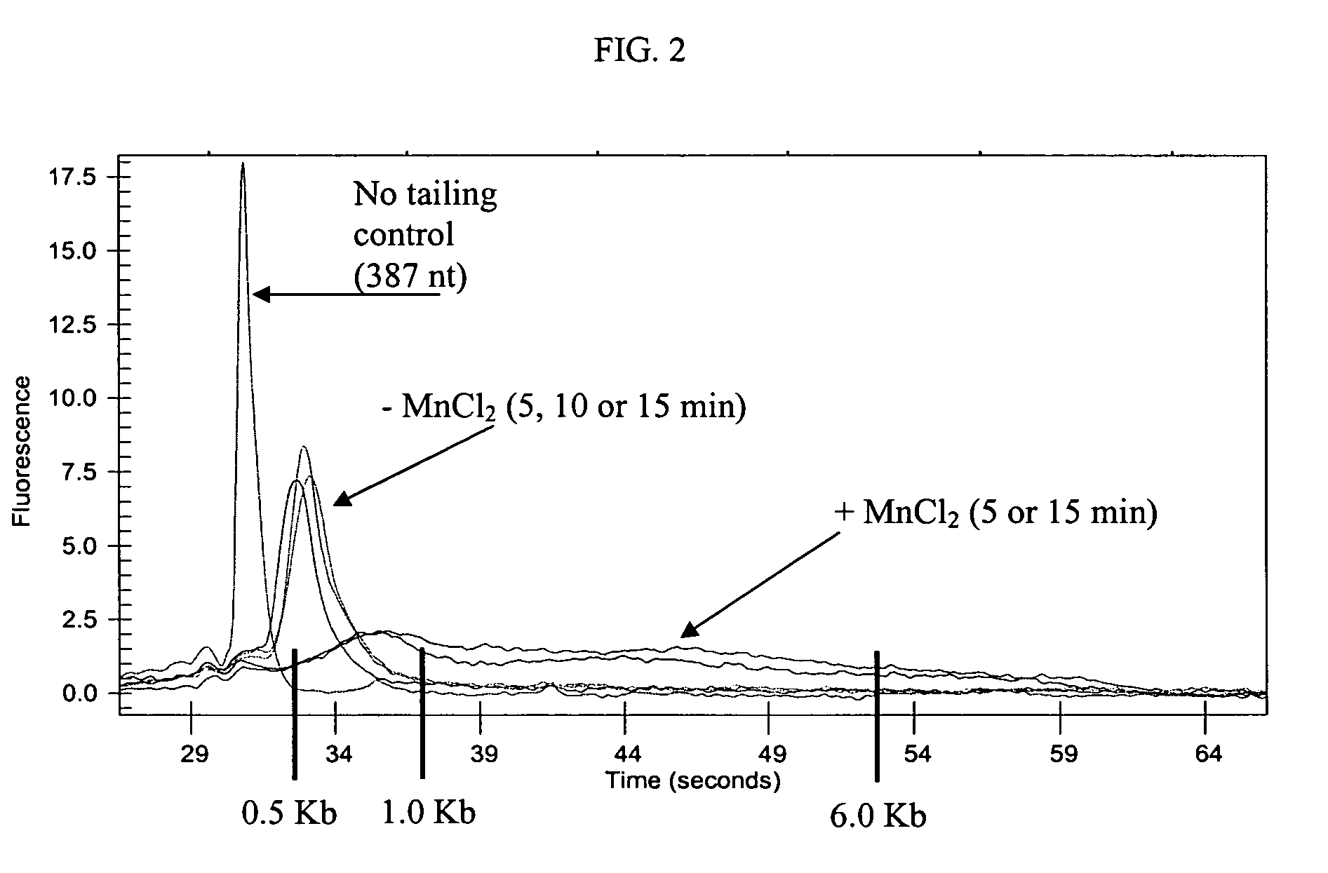 Methods and compositions for tailing and amplifying RNA