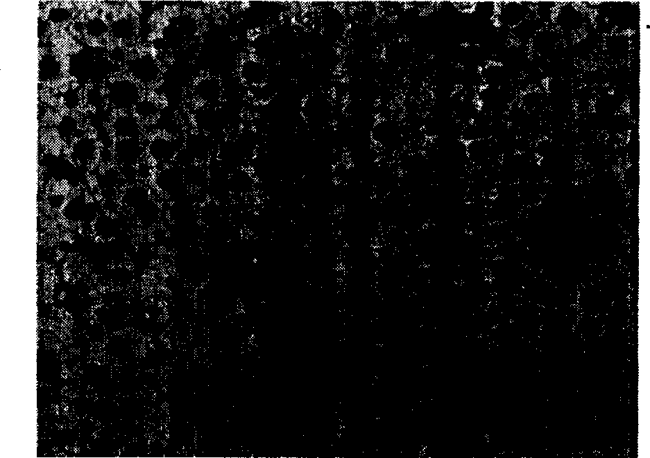 Ductile iron exhaust manifold, method for preparing the same and device used in preparation