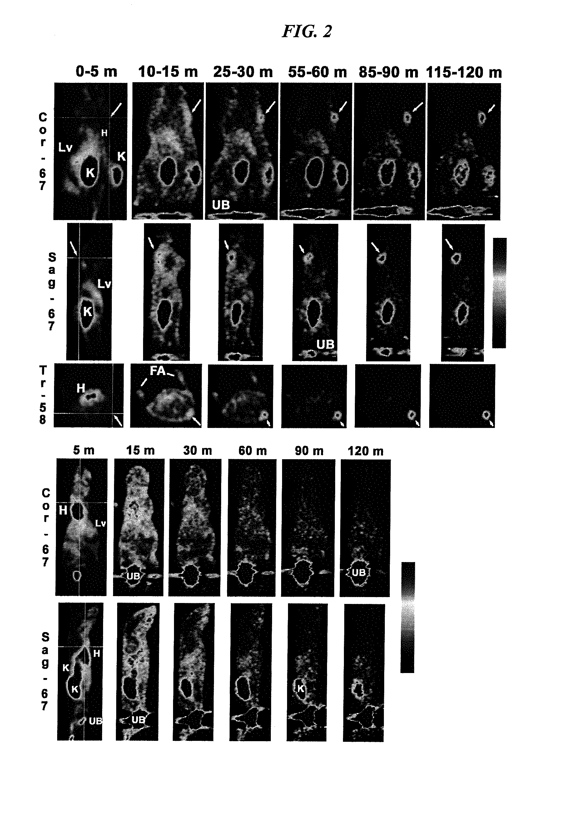 Methods and Compositions for Improved F-18 Labeling of Proteins, Peptides and Other Molecules