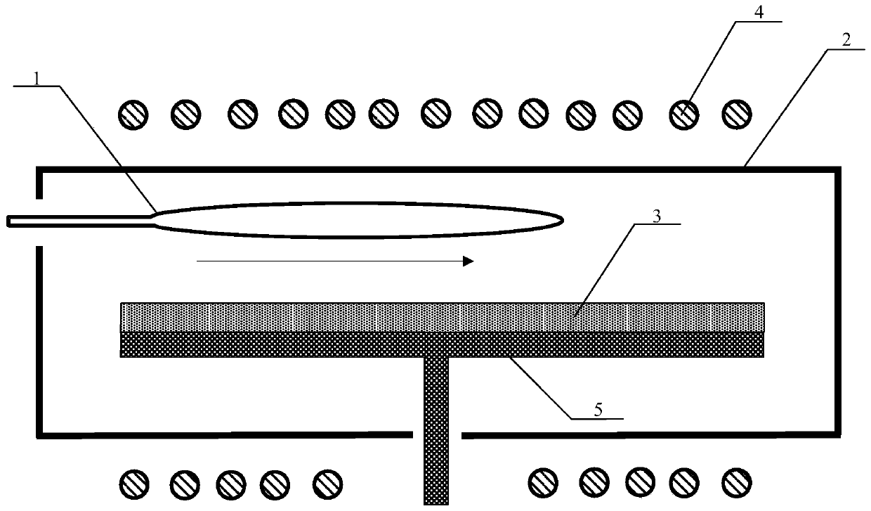 bernoulli sucker