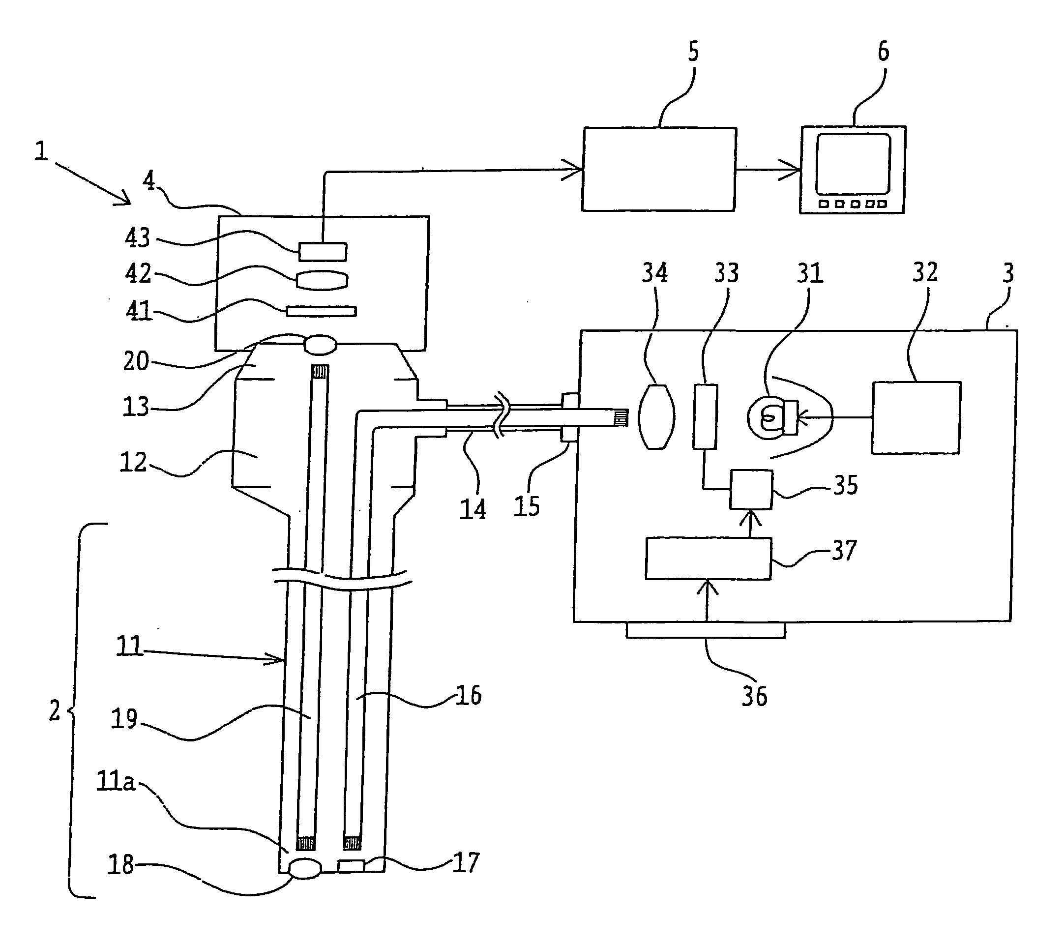 Apparatus for fluorescence observation