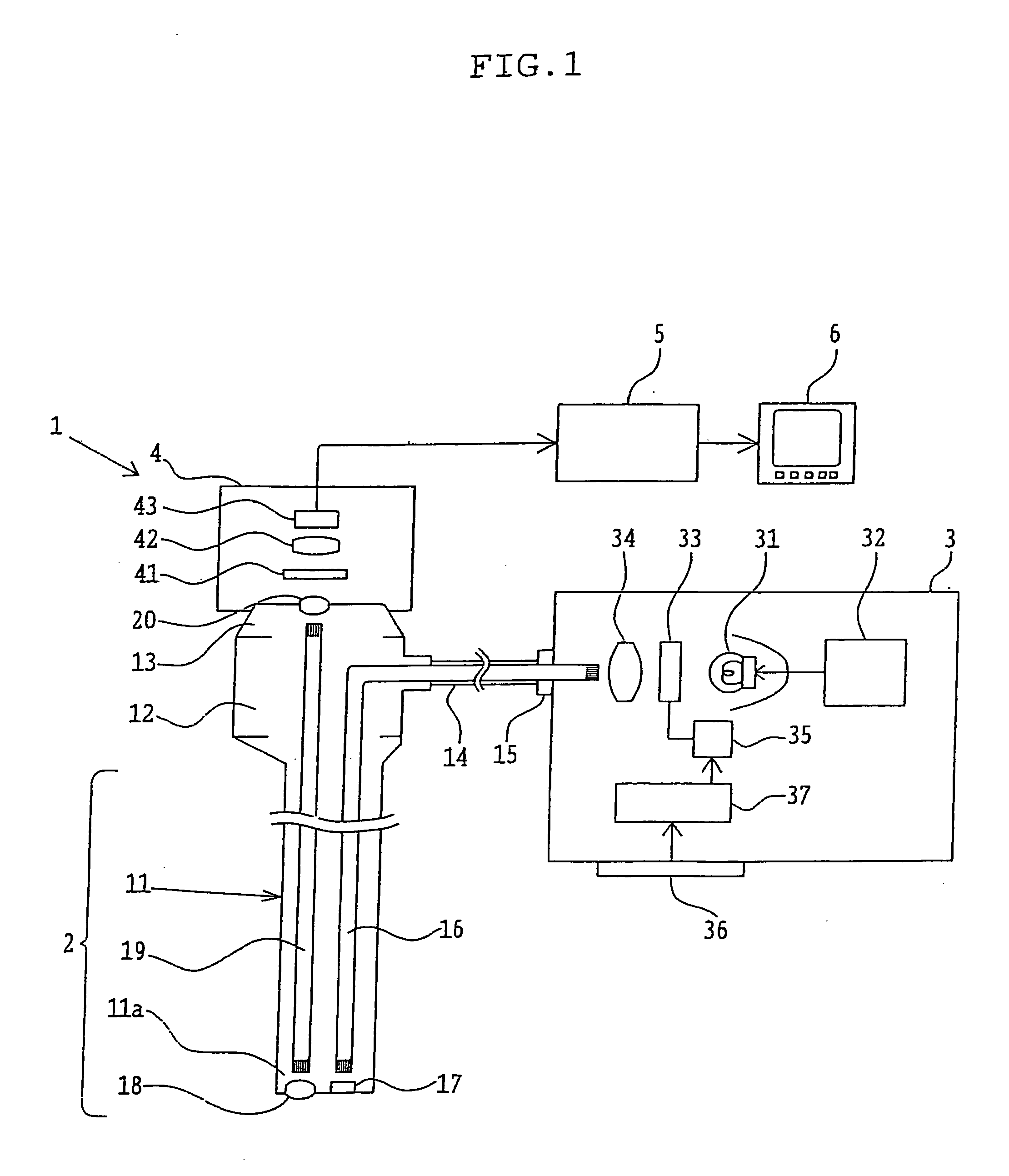 Apparatus for fluorescence observation