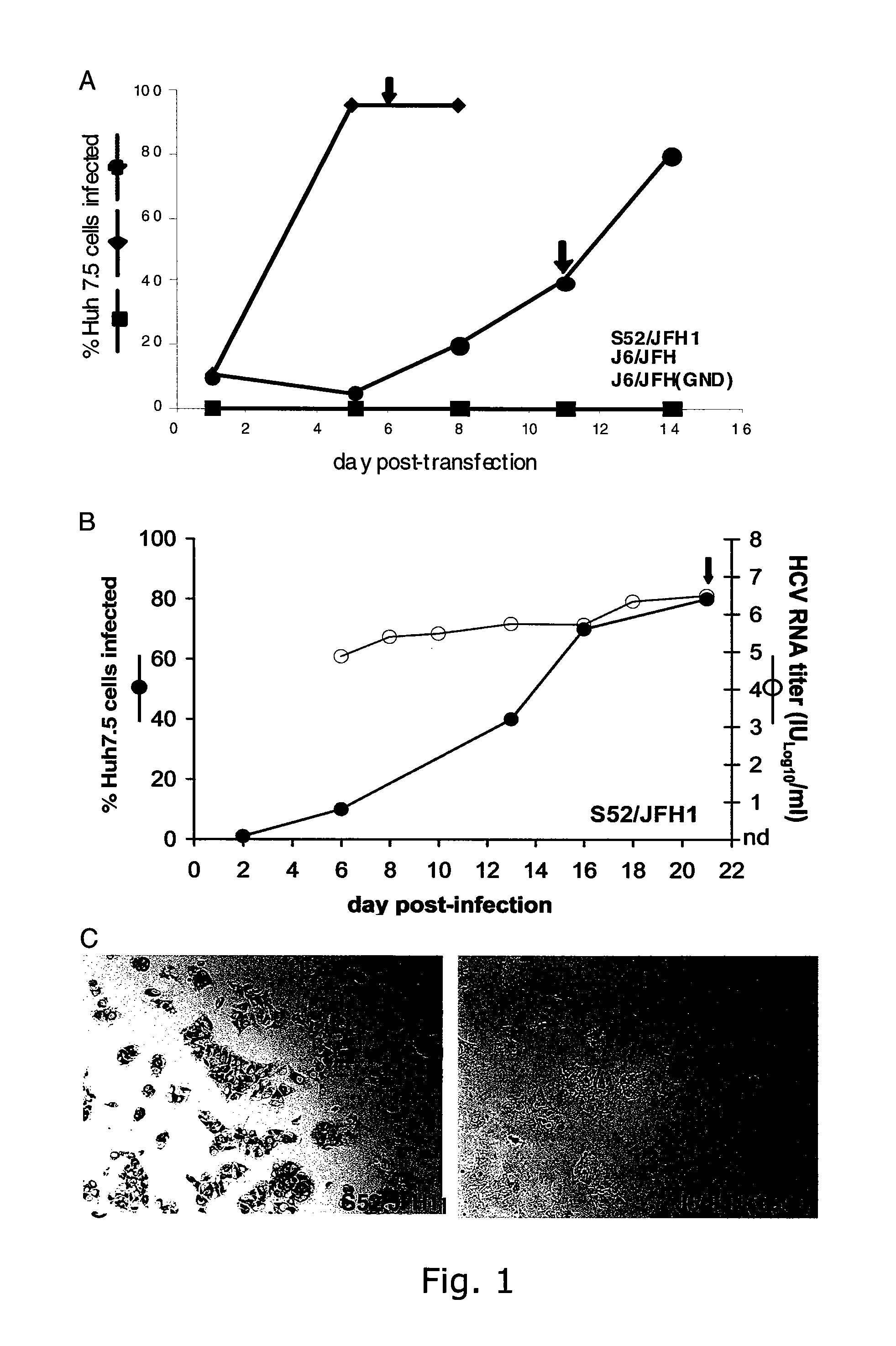 Cell culture system of a hepatitis C genotype 3a and 2a chimera