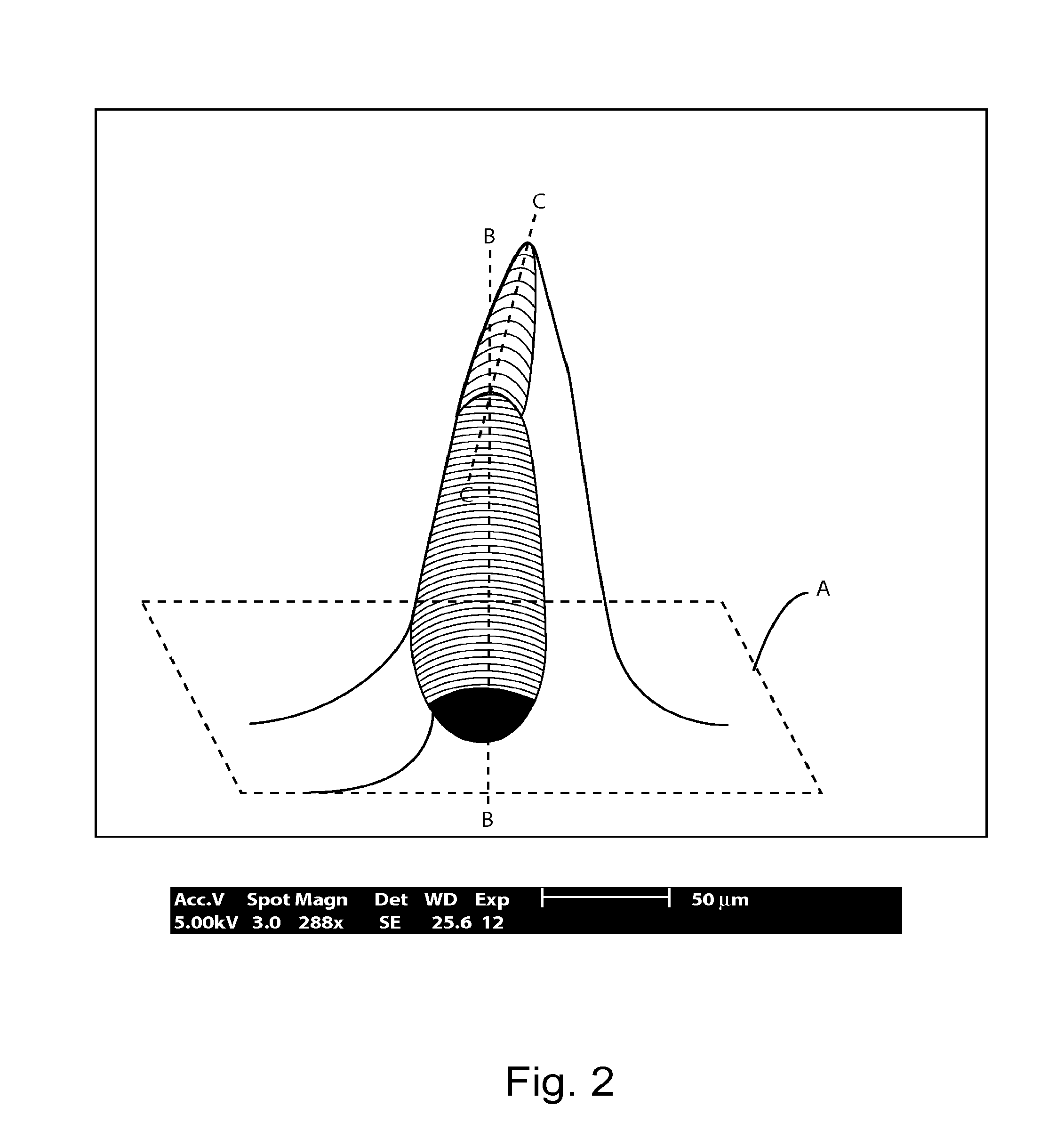 Method and/or apparatus for puncturing a surface for extraction, in situ analysis, and/or substance delivery using microneedles