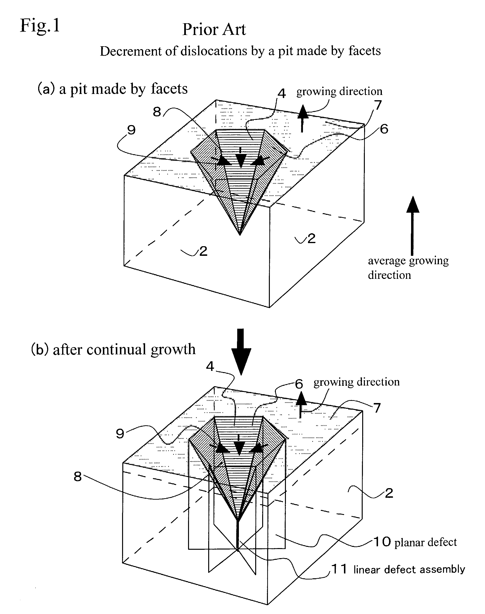 Single crystal GaN substrate, method of growing single crystal GaN and method of producing single crystal GaN substrate